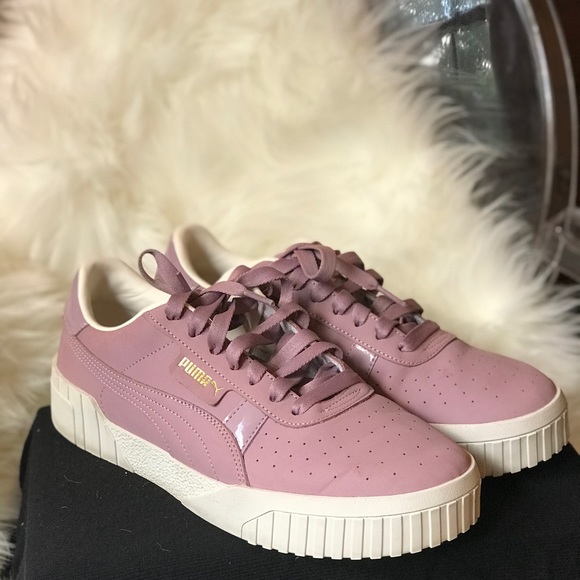 puma cali elderberry